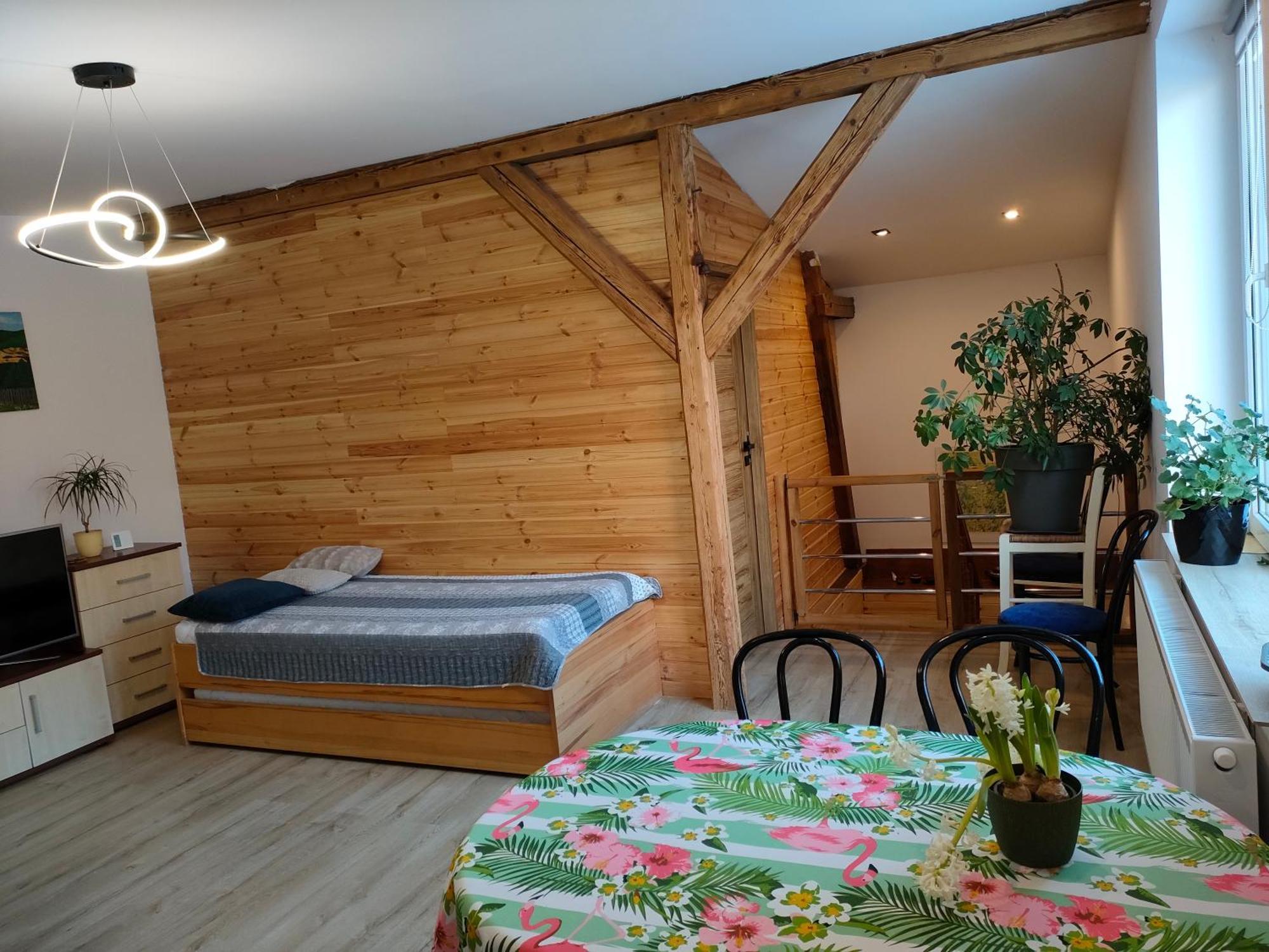 Ferienwohnung Aparament Brzozowisko Zelazno  Zimmer foto