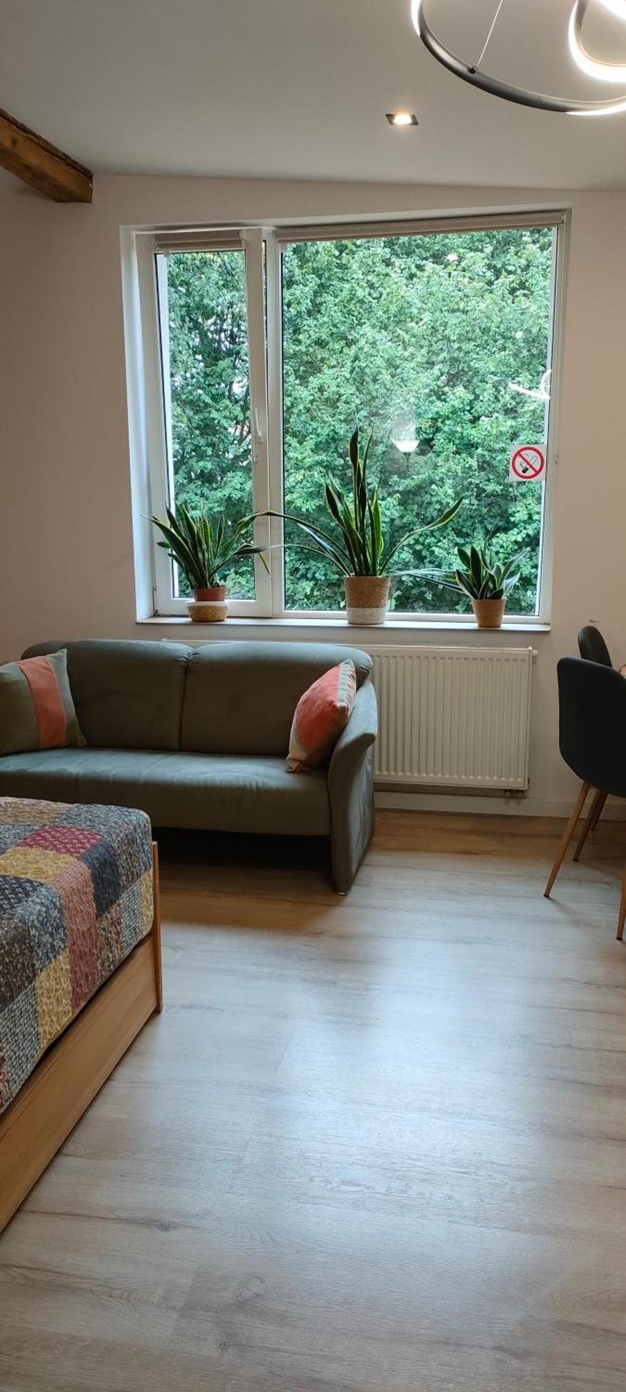 Ferienwohnung Aparament Brzozowisko Zelazno  Exterior foto